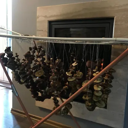 Dom Na Kaszubach, Sauna I Balia Vila *