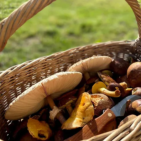 Vila Dom Na Kaszubach, Sauna I Balia