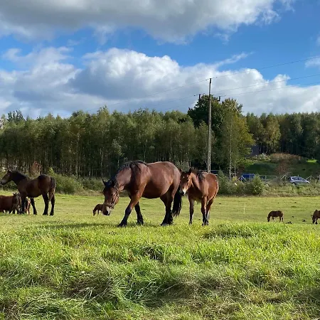 Vila Dom Na Kaszubach, Sauna I Balia