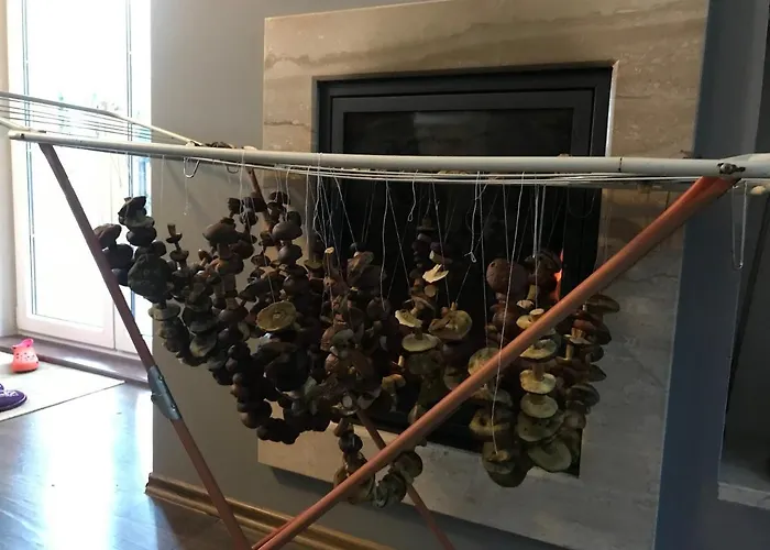 Dom Na Kaszubach, Sauna I Balia فيلة *