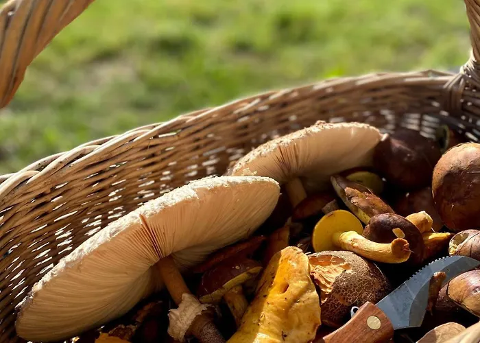فيلة Dom Na Kaszubach, Sauna I Balia