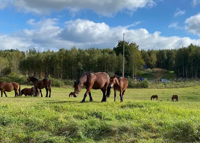 فيلة Dom Na Kaszubach, Sauna I Balia